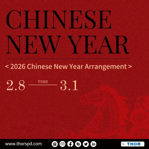 2026 Chinese New Year Arrangement